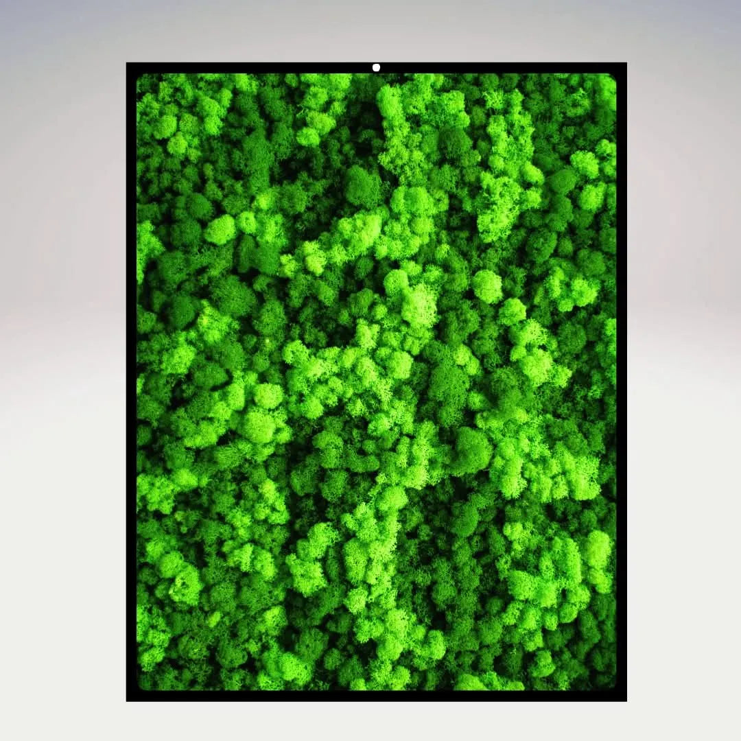 Dettaglio di quadro rettangolare in muschio stabilizzato con cornice nera – I Giardini di Giulia