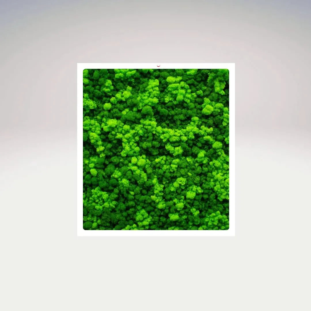 Quadro rettangolare in muschio stabilizzato con cornice bianca su sfondo chiaro – I Giardini di Giulia