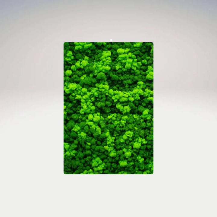 Quadro rettangolare in muschio stabilizzato senza cornice – design naturale I Giardini di Giulia