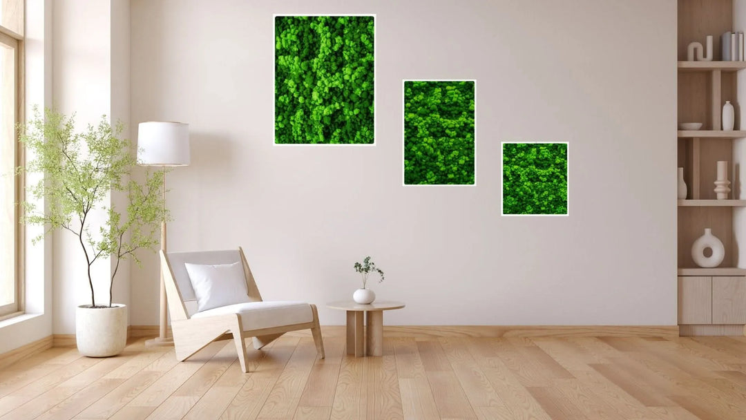 Tris di quadri rettangolari in muschio stabilizzato con cornice bianca su parete chiara, in soggiorno moderno con arredi minimal – I Giardini di Giulia