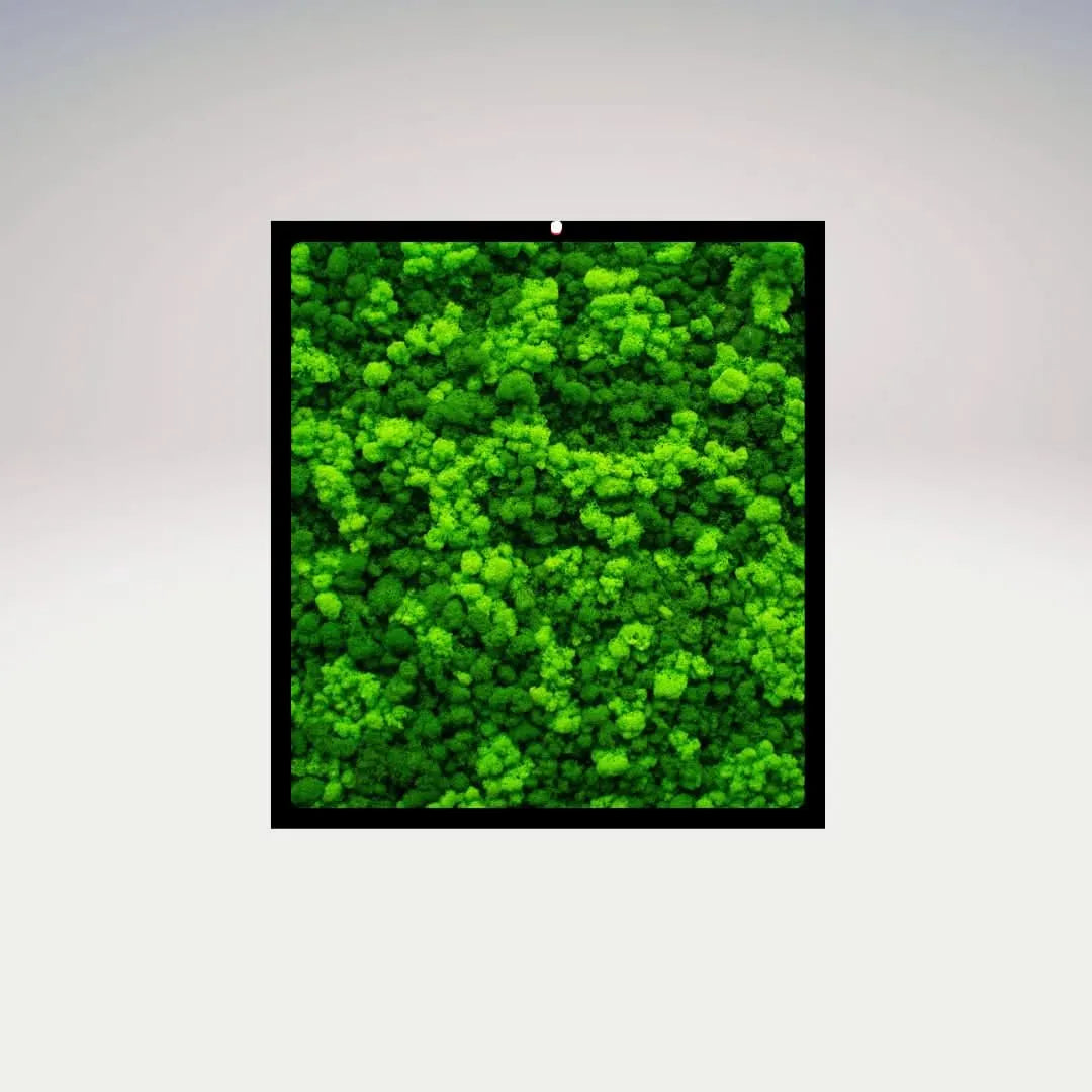 Quadro rettangolare in muschio stabilizzato con cornice nera su sfondo neutro – I Giardini di Giulia