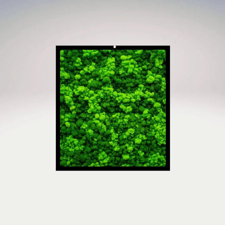 Quadro rettangolare in muschio stabilizzato con cornice nera su sfondo neutro – I Giardini di Giulia