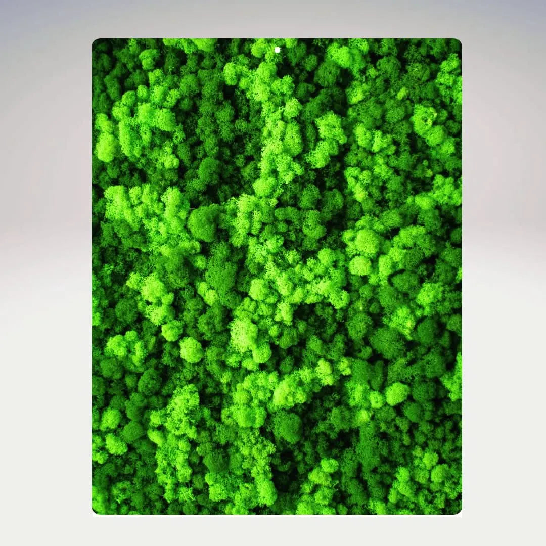 Quadro rettangolare in muschio stabilizzato senza cornice – I Giardini di Giulia