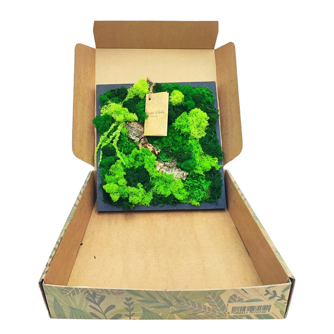 quadro di muschio e licheni stabilizati in scatola di cartone 
