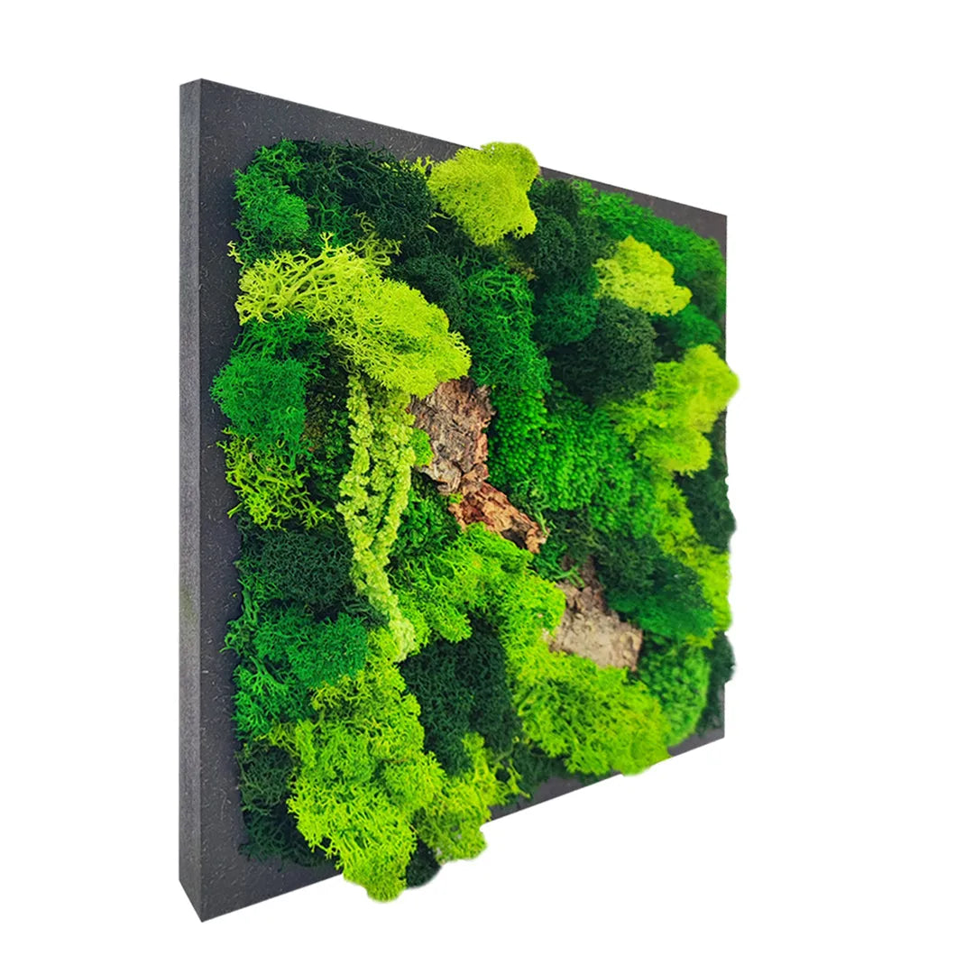 Vista laterale del quadro di muschio e licheni stabilizzati con varie tonalità di verde  