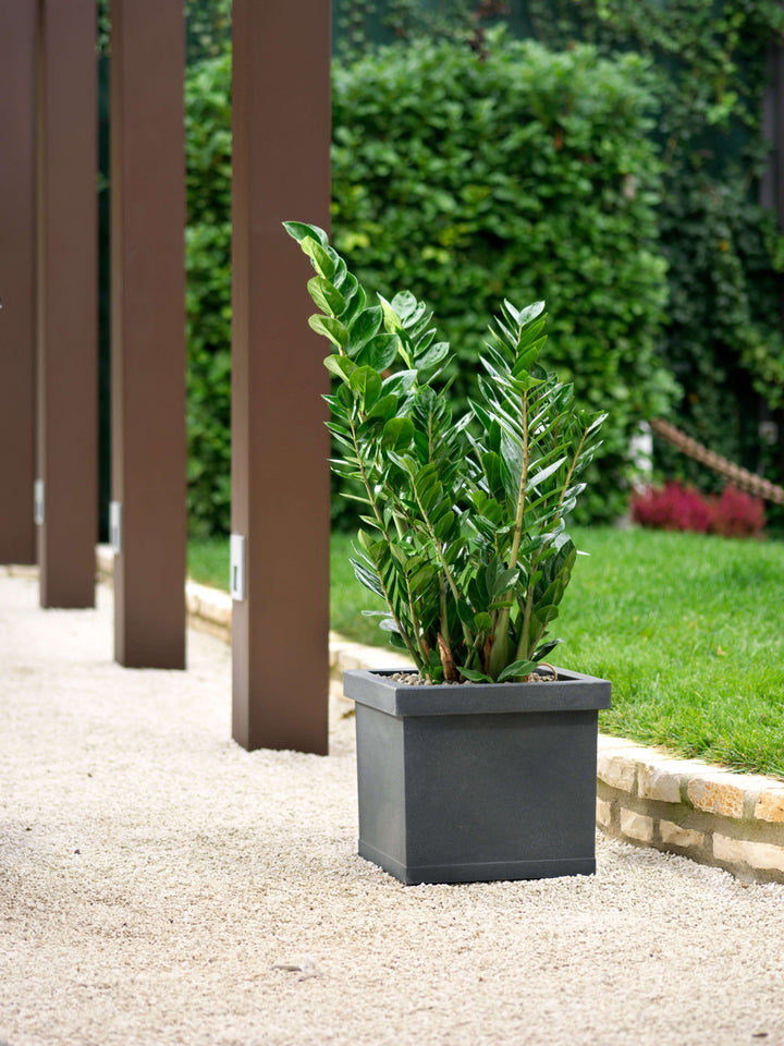 Quadro Liscio - i Giardini di Giulia