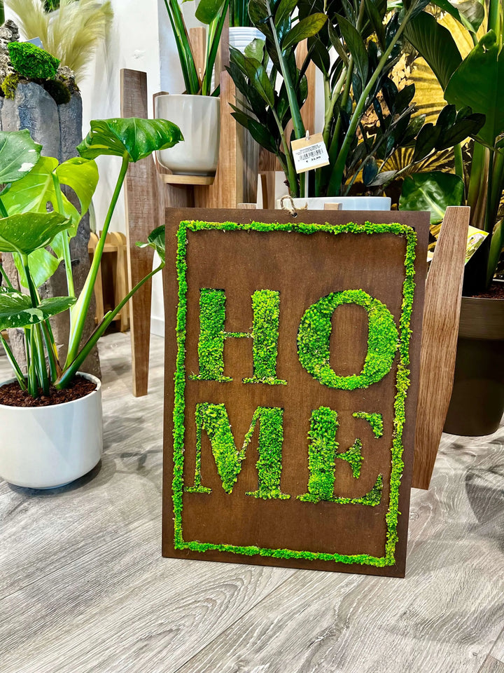 Quadro in muschio stabilizzato "HOME" da 50x35 cm ambientato tra piante da interno – decorazione artigianale su legno naturale de I Giardini di Giulia

