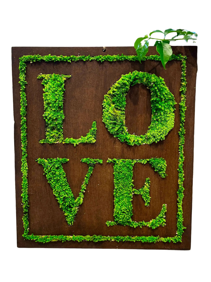 Quadro decorativo con scritta "LOVE" in muschio stabilizzato verde su pannello in legno scuro, con piccolo inserto di pianta naturale in alto a destra. Design quadrato, dimensioni 40x35 cm, stile naturale ed ecologico.