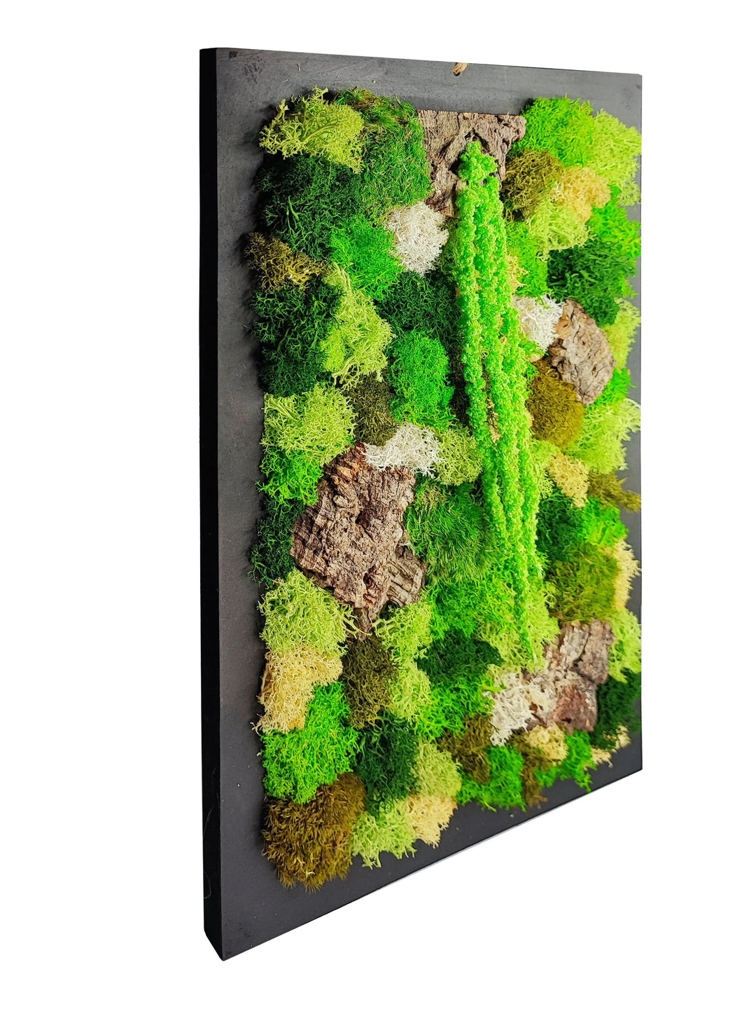 Vista laterale quadro EcoMosaico 35x50 cm con muschio e licheni stabilizzati e corteccia – I Giardini di Giulia