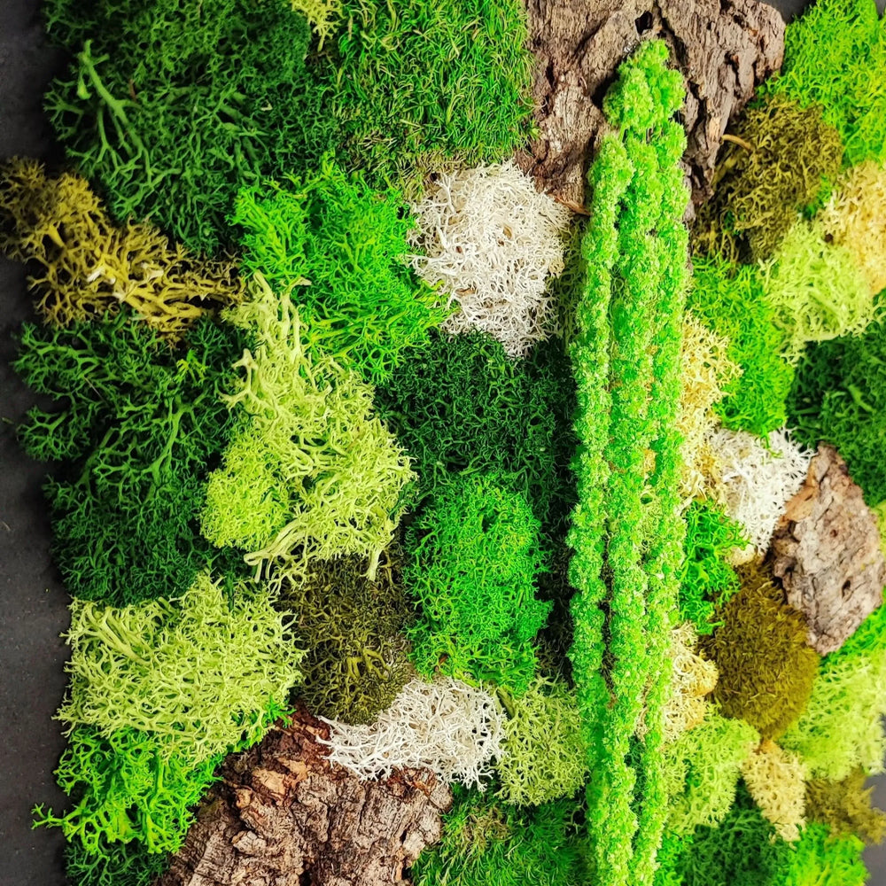 Dettaglio ravvicinato del quadro muschio stabilizzato con licheni e corteccia naturale