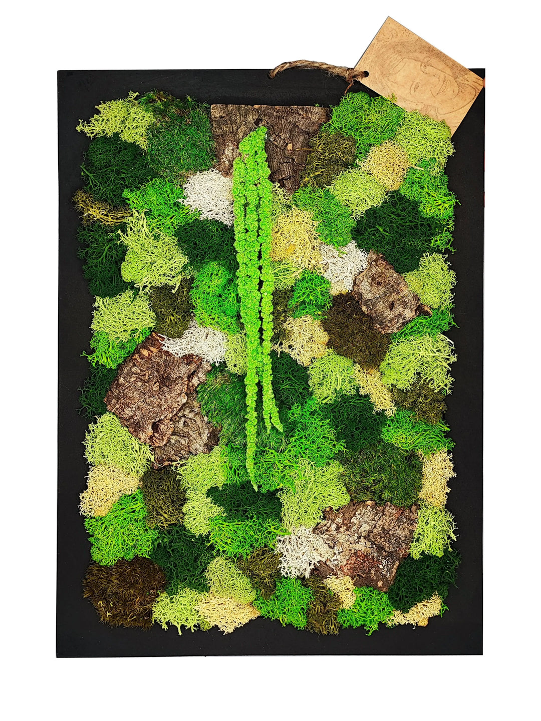 Quadro rettangolare EcoMosaico in muschio stabilizzato e corteccia, dimensioni 35x50 cm, composizione naturale multicolore – I Giardini di Giulia