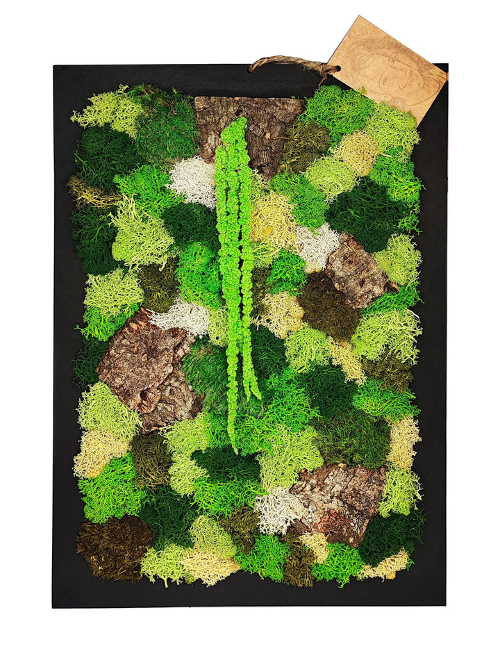 Quadro rettangolare EcoMosaico in muschio stabilizzato e corteccia, dimensioni 35x50 cm, composizione naturale multicolore – I Giardini di Giulia