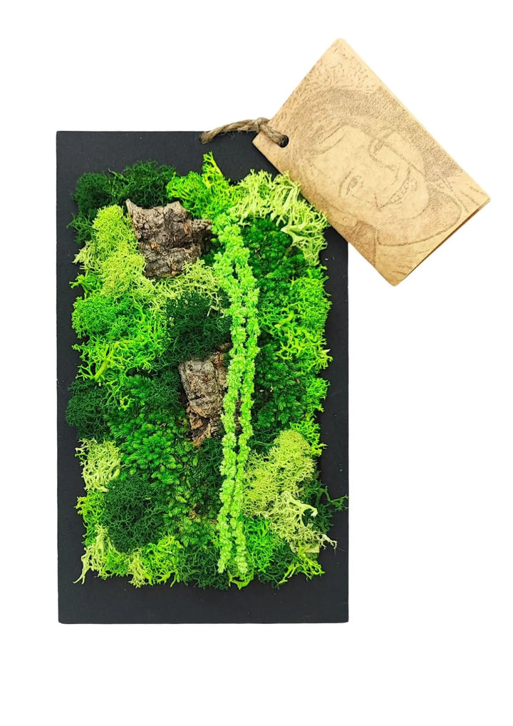 Quadro verde rettangolare con muschio e licheni stabilizzati in diverse tonalità di verde, corteccia naturale decorativa e cornice nera, dimensioni 14,5x24,5 cm – “Muschi di Medusa” de I Giardini di Giulia.