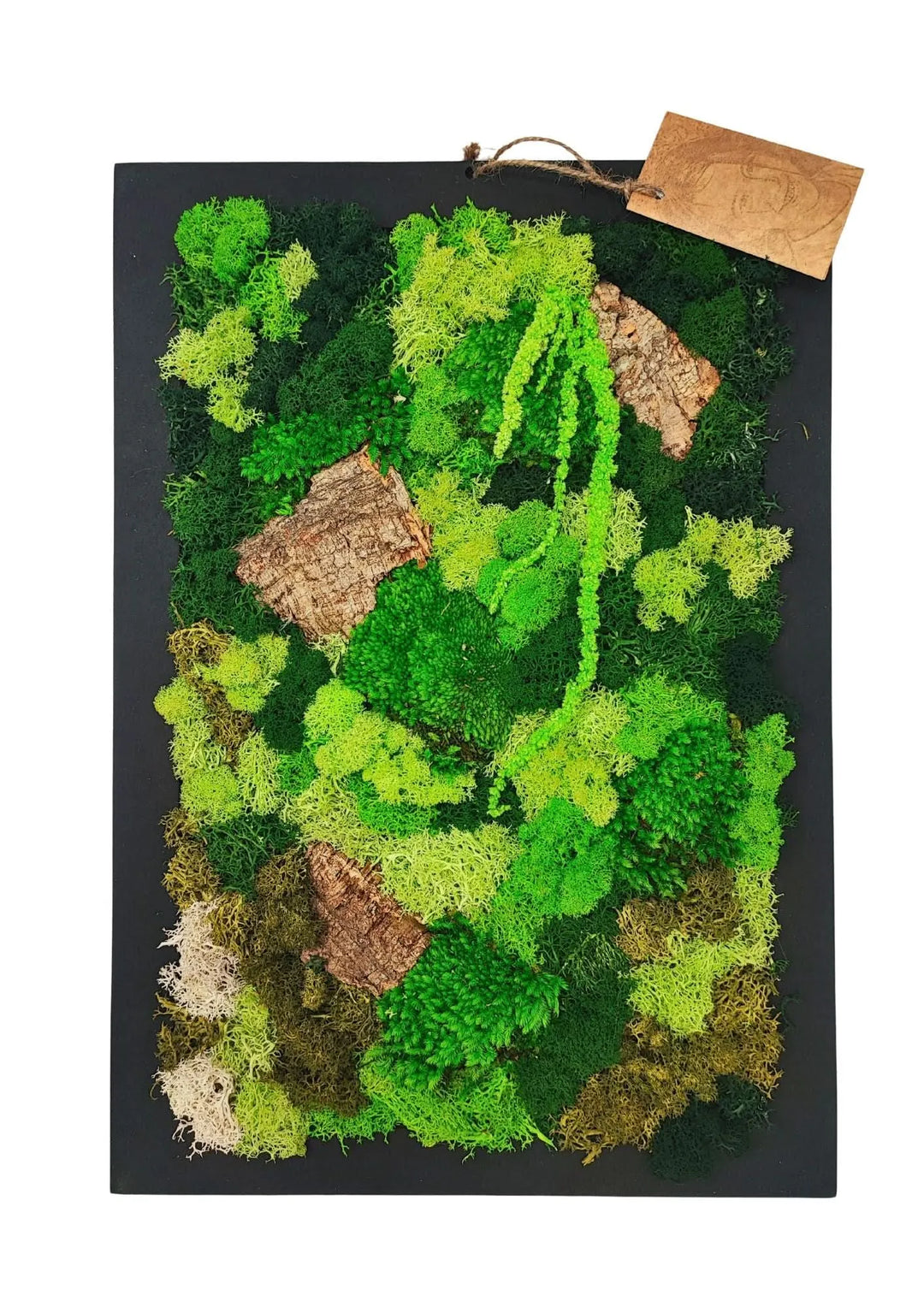 Quadro rettangolare di muschio e licheni stabilizzati 'Verde Silenzio' 30x40 cm con sfumature di verde e dettagli in corteccia su base nera - I Giardini di Giulia