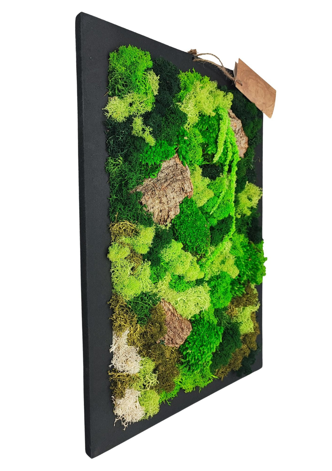 Quadro Rettangolare di Muschio e Licheni Stabilizzati "Verde Silenzio" dimensioni 30x40 cm - i Giardini di Giulia