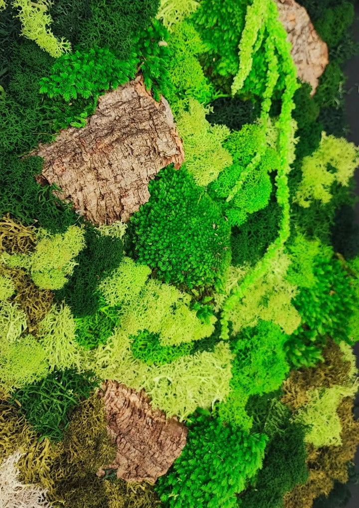 Quadro rettangolare 30X40 cm di muschi e licheni stabilizzato con scatola regalo