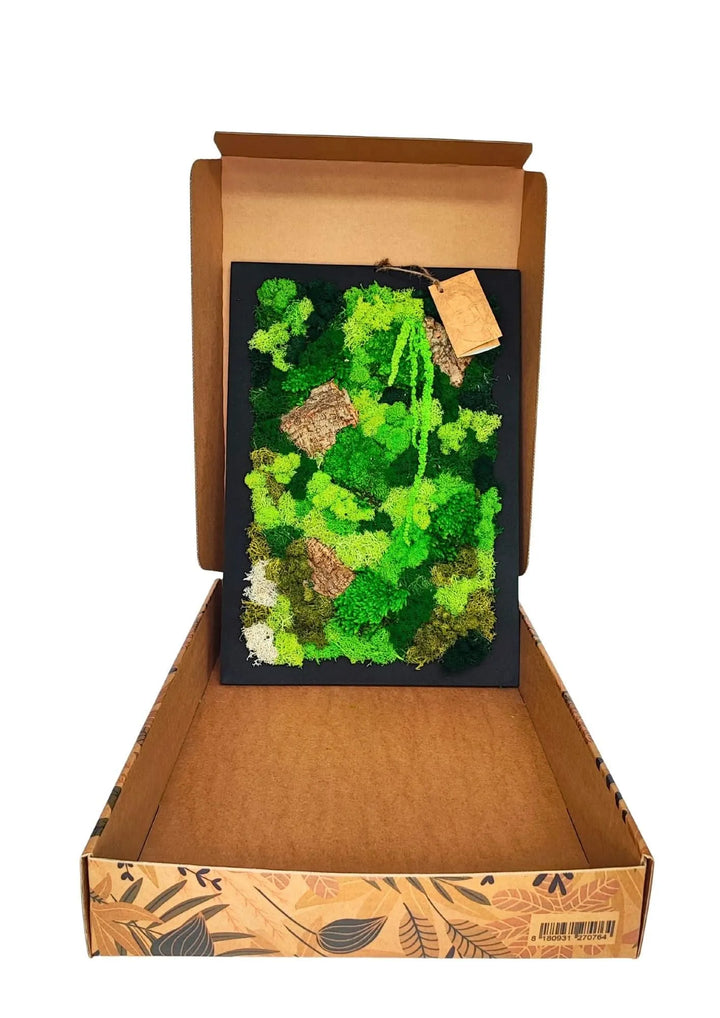Quadro Verde Silenzio da 30x40 cm con muschio e licheni stabilizzati in confezione regalo – I Giardini di Giulia