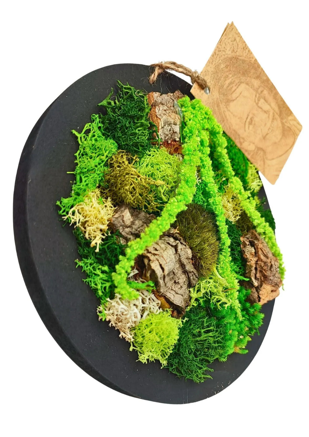 Vista laterale del quadro tondo "Velia in Fiore" con muschio e licheni stabilizzati e inserti in sughero su base nera – decorazione naturale diametro 20 cm, I Giardini di Giulia.