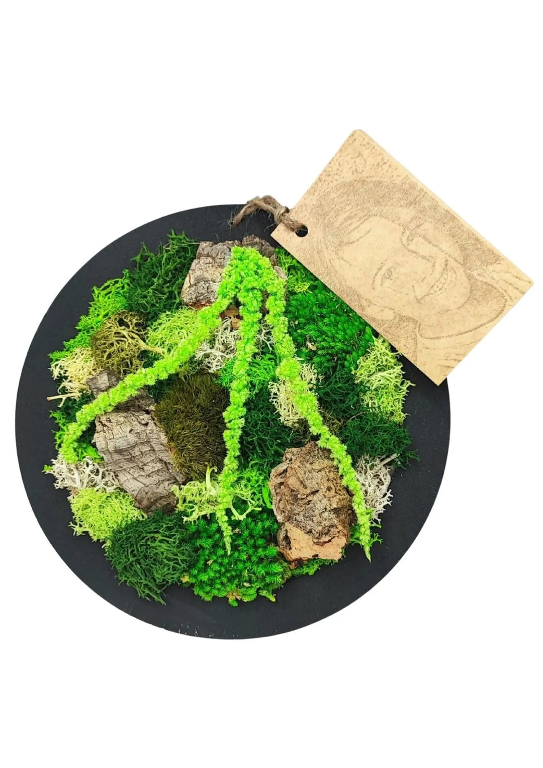 Quadro tondo di muschio e licheni stabilizzati con sughero naturale su sfondo nero – composizione "Velia in Fiore" diametro 20 cm, I Giardini di Giulia.