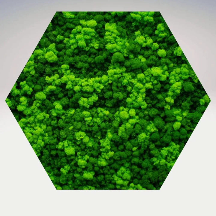 Quadro verde Esagono Viridem senza cornice con muschio stabilizzato – decorazione modulare naturale 60x60 cm I Giardini di Giulia