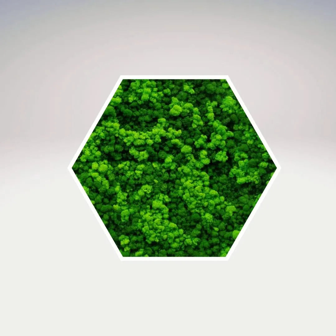 Quadro esagonale Esagono Viridem 40x40 cm con cornice bianca e muschio stabilizzato – decorazione vegetale artigianale I Giardini di Giulia