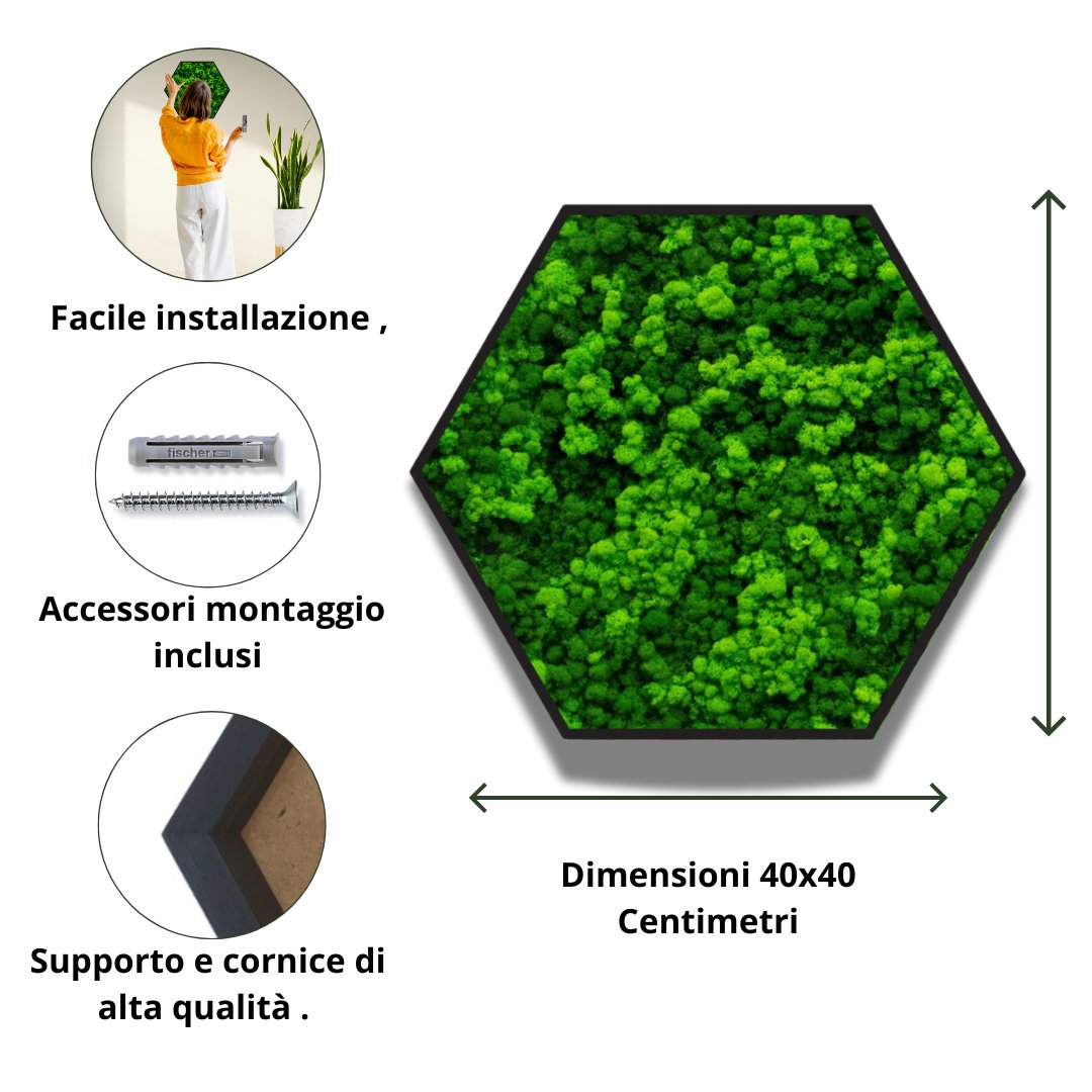 Quadro verde preservato Esagono Viridem - i Giardini di Giulia