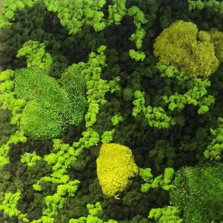 Parete decorata con quadri in muschio stabilizzato di varie forme e dimensioni – collezione I Giardini di Giulia con cornici artigianali e verde naturale senza manutenzione