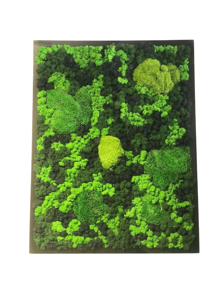 Quadro Vista Bosco in muschio stabilizzato 90x70 cm con sfumature di verde e effetto tridimensionale – I Giardini di Giulia
