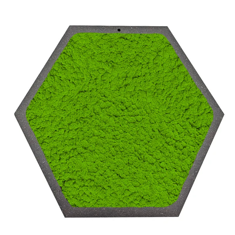 Quadro esagonale di Licheni Stabilizzati cornice Nera