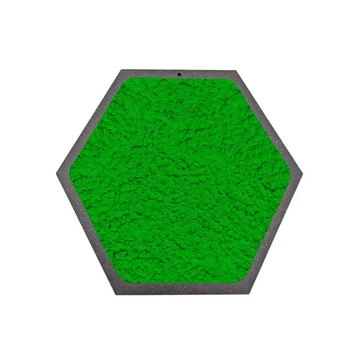 Quadro esagonale di Licheni Stabilizzati cornice Nera