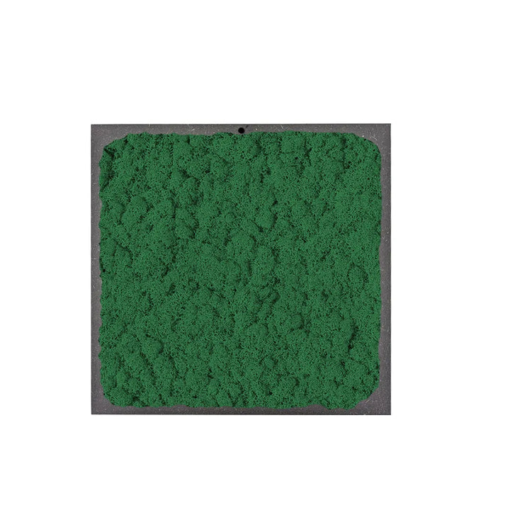 Quadro di forma quadrata con licheni di colore verde scuro 