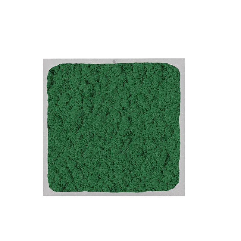 Quadro di forma quadrata con licheni di colore verde scuro 