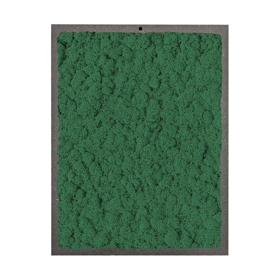quadro rettangolare di licheni coloo9re verde foresta 