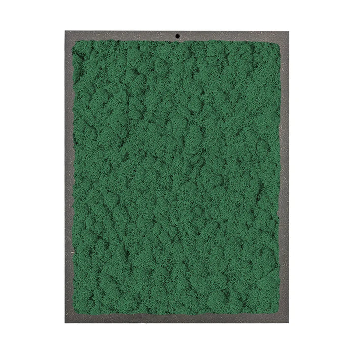quadro rettangolare di licheni coloo9re verde foresta 