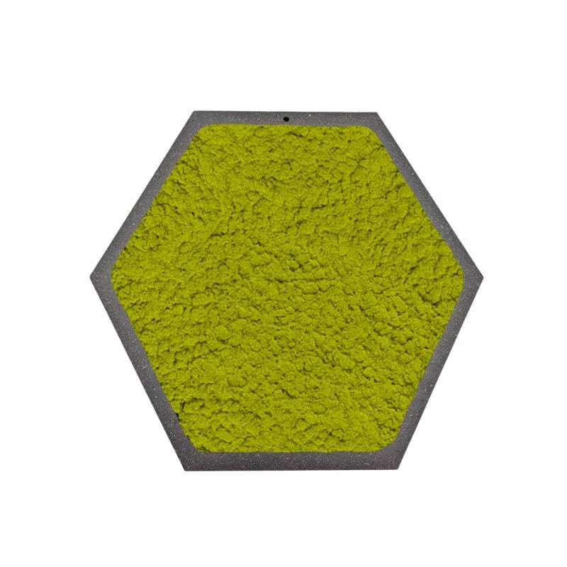 Quadro esagonale di Licheni Stabilizzati cornice Nera