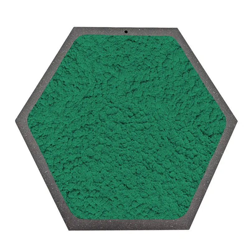 Quadro esagonale di Licheni Stabilizzati cornice Nera