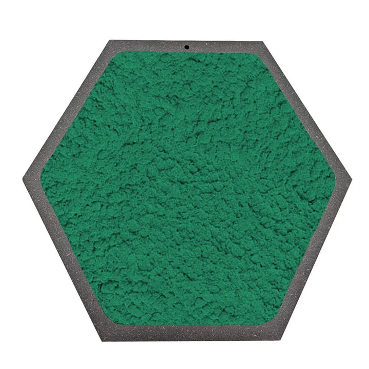 Quadro esagonale di Licheni Stabilizzati cornice Nera