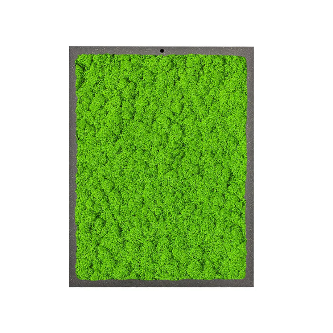 quadro rettangolare di licheni di colore verde chiaro 