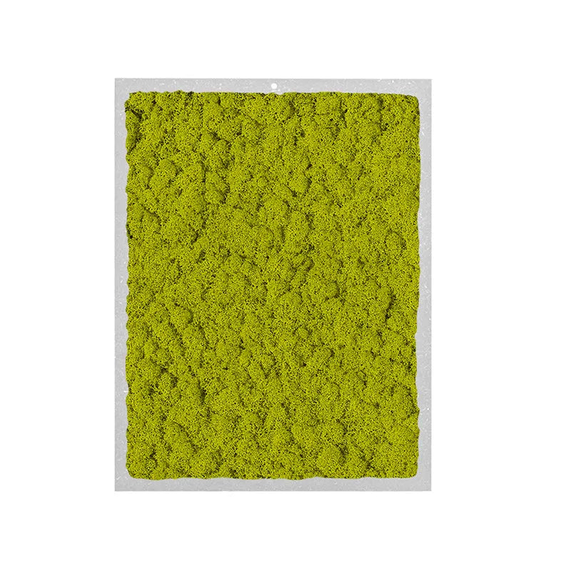 quadro rettangolare di licheni di colore verde chiaro 