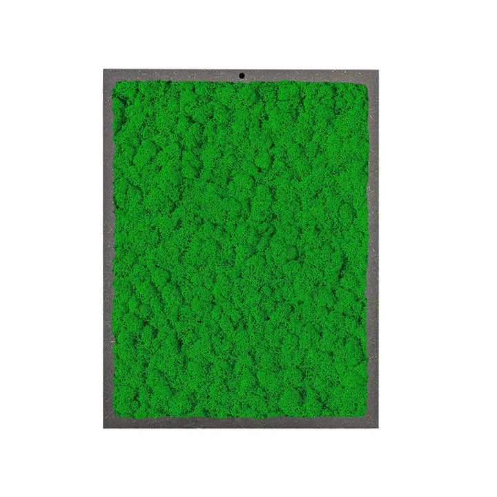 immagine mosta un quadro rettangoloare con licheni di colore verde scuro 