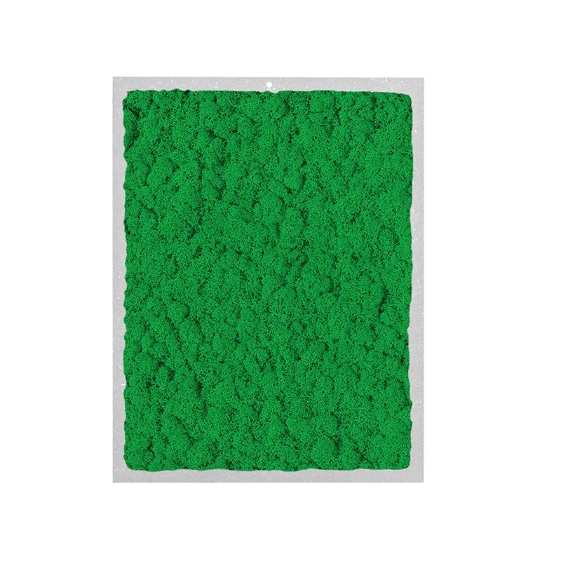 immagine mosta un quadro rettangoloare con licheni di colore verde scuro 