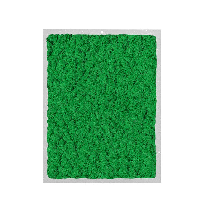 immagine mosta un quadro rettangoloare con licheni di colore verde scuro 