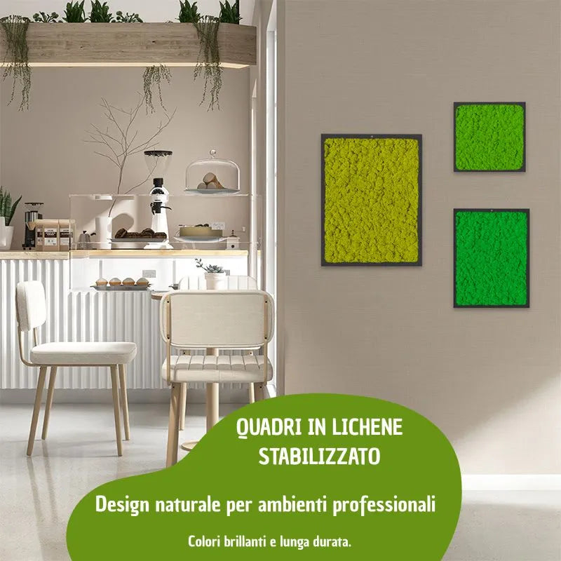 immagine mostra un ambiente commerciale con tre quadri con licheni di diverse sfumature di verde  