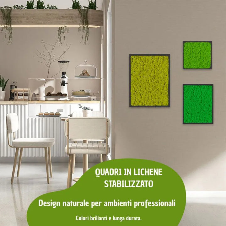 immagine mostra un ambiente commerciale con tre quadri con licheni di diverse sfumature di verde  