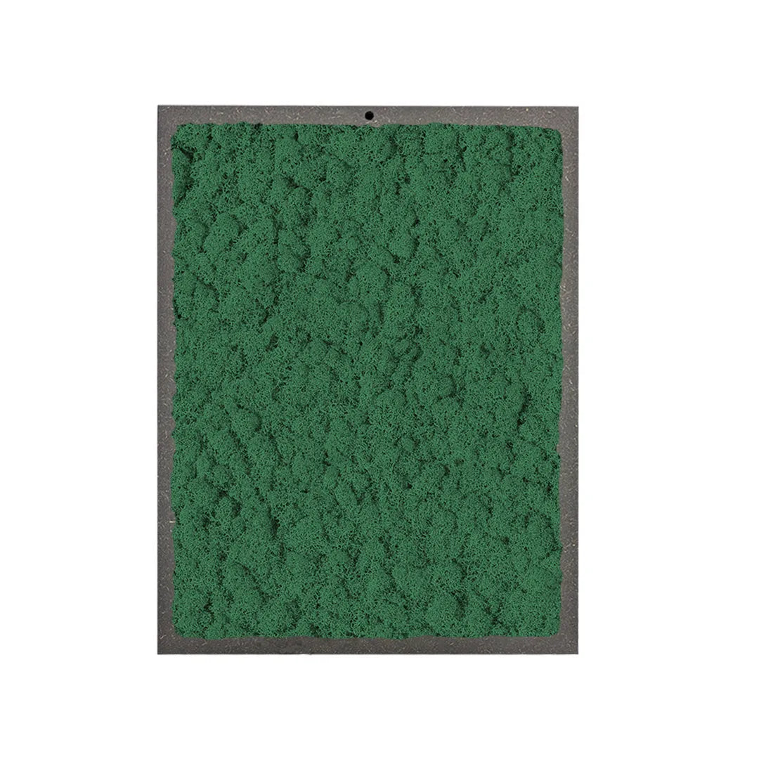 quadro rettangolare di licheni di colore verde scuro 