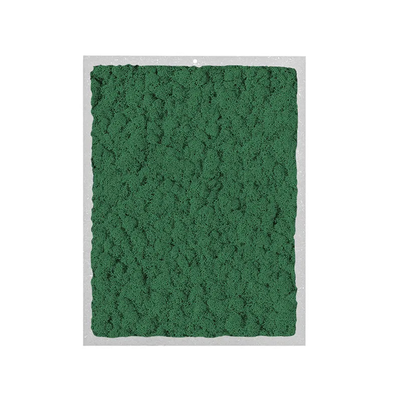 quadro rettangolare di licheni di colore verde scuro 