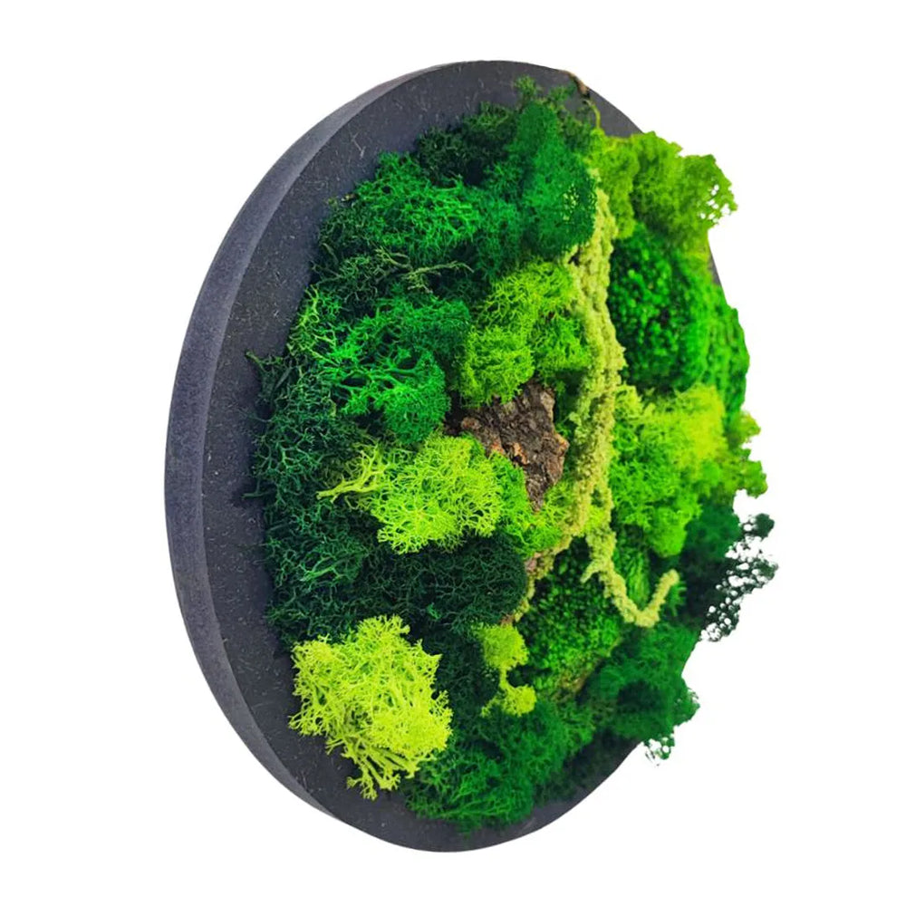 Vista laterale di un quadro di muschio e licheni stabilizzato con varie tonalità di verde e sughero naturale