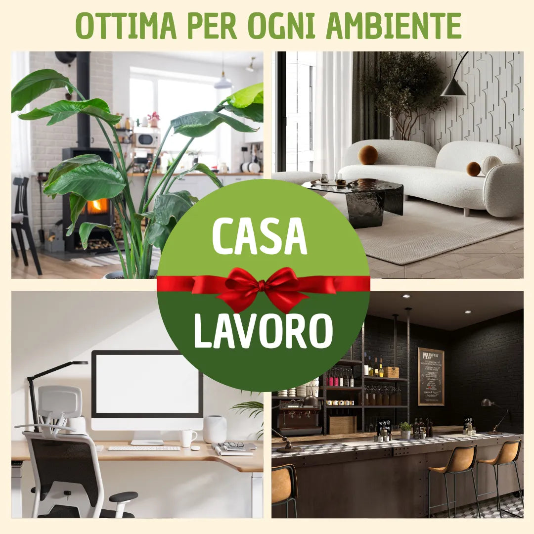 infografica che mostra gli ambienti ideali per questo quadro 