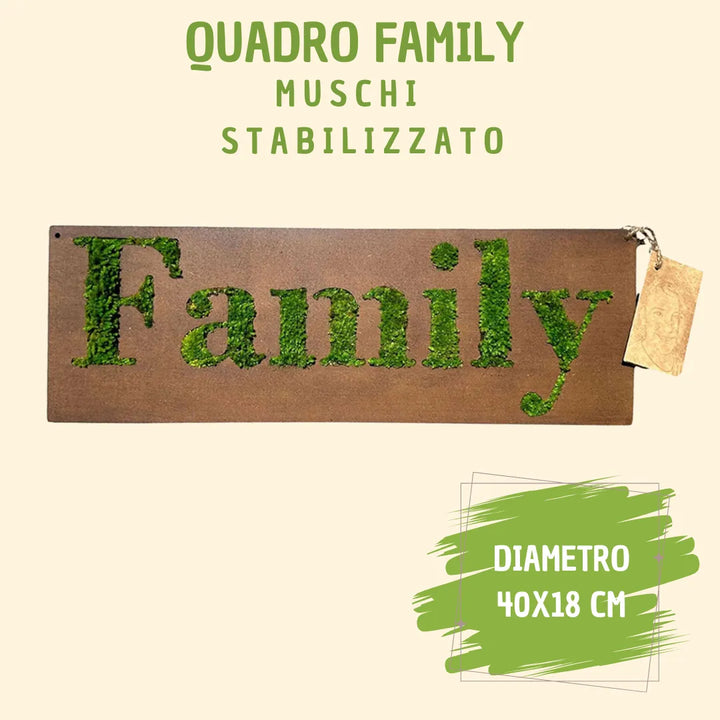 infografica che mostra le dimensioni del quadro 