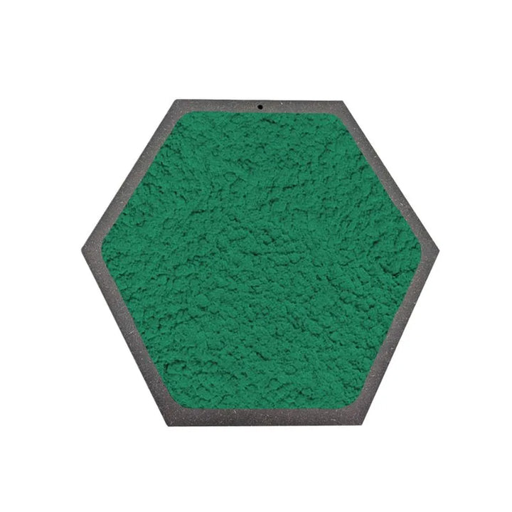 Quadro esagonale di Licheni Stabilizzati cornice Nera